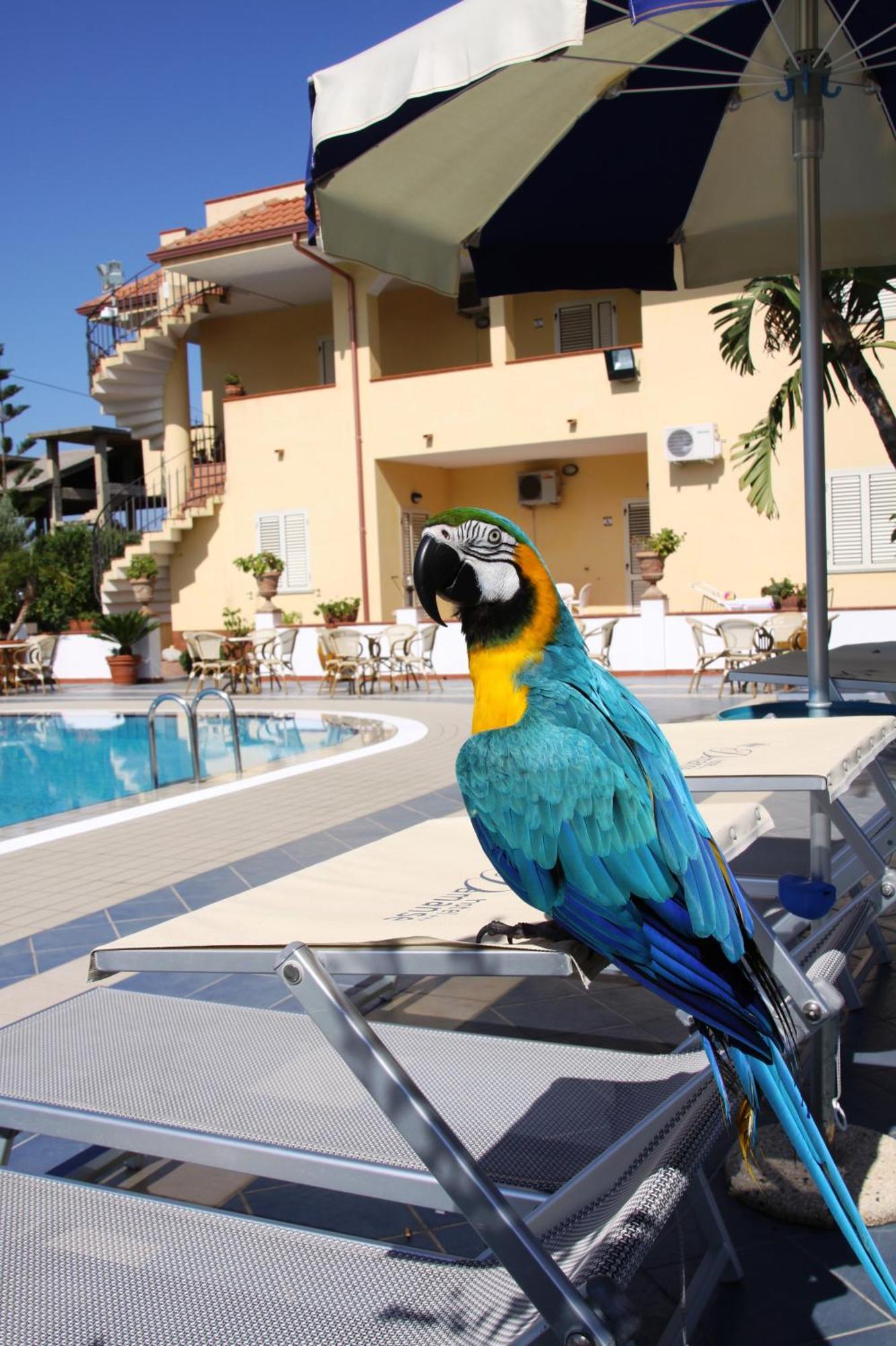 Hotel Damanse Санта Доменика Екстериор снимка